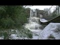 Blijdorp Winter HD 1080p :: Blijdorp Winter HD