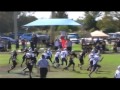 WPPO vs TAMARAC 125s WPPO vs TAMARAC 125s