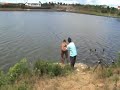 Crap Peris - 15,300 kg