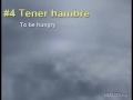 Spanish verb TENER (to have) - Levels 2-4 Spanish verb TENER (to have) - Levels 2-4
