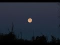 Bekijk muziek clip van Harry Nilsson met The Moonbeam Song