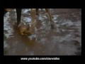 Chicas Gran Partido de Futbol  Cian Video