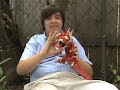 Science with Sam: Ancient China 5 Science with Sam: Ancient China 5