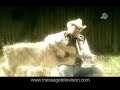 Total Country 1 Total Country 1