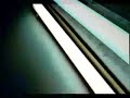 fluorescent fluorescent