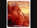 Busca primero el Reino de Dios