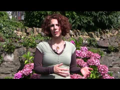 how to relieve suffering