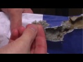 Fiber Envelopes & Packing Peanuts (Saison 4 Épisode 1)