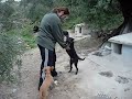 La Mori y Perla