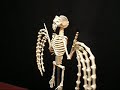 Boris The Bat - 1/8 Scale to life size www.MrSkeleton.com