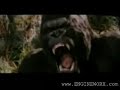 King Kong Kadir