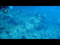 St Lucia Video