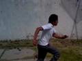 videos de marin