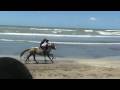 videos de Elisha racing Abuelo
