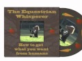 Equestrian Whisperer