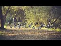 Fiersa Besari Feat Thantri - Waktu Yang Salah Liri