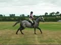 Kilguilkey House Horse Trials Part 2