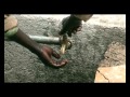 Water for African Cities - Ethiopia