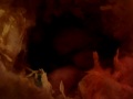 New Born Hamsters Day 1-5