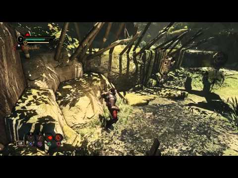 Vidéo 1