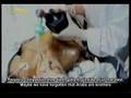Al Dameer Al Arabi - The Arabic Conscience (part 3 of 4)