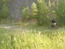 Freeride Ha?dy Demo