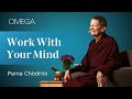 Pema Chodron  "This Lousy World"