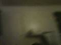 videos de sick?
