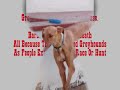 Greyhounds Their Cursed Name ? Galgos
