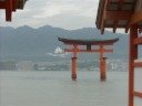 JAPAN -MIYAJIMA (1)