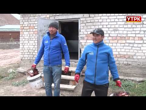 Ак илбирсти коргойлу