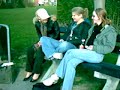 Zee Meeuwen plaag Zee Meeuwen plaag