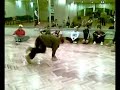 B-Boy Nipel vs B-Boy Egor