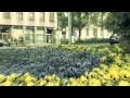 25p cinema mode - test