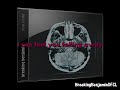 From Breaking benjamin's 4th albm 