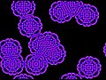 Reaction diffusion labyrinth