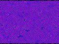 Reaction diffusion labyrinth