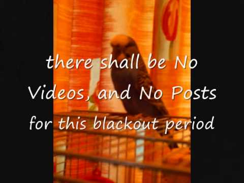 See video