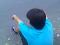 Cea mai tare cearta short version