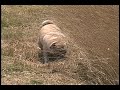 Max and the field trip