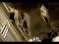 videos de Nose to Nose with Giraffes at the Memphis Zoo