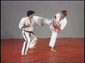 videos de hapkido.flv