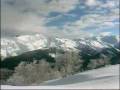videos de gori.wmv
