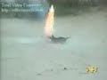 كلاب شقية مدربه