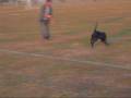 videos de meet rocky