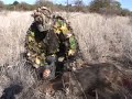 Bowhunt Male Bushpig