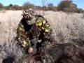 videos de Bowhunt Male Bushpig