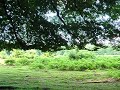 Casa Rural Urbasa Urederra NÂº 69 Hayedo Bosque  1 - 27714