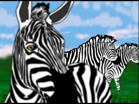Why Zebras Have Stripes