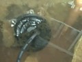 ionic foot bath detox hoax (part 5)